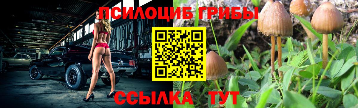 Тверь  Галлюциногенные грибы ЛСД  купить  цена  Вход с VPN  Галлюциногенные грибы GOLDEN TEACHER 